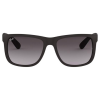 Ottica Savoca Ray Ban RB4165