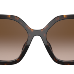 Havana Marrone gradient